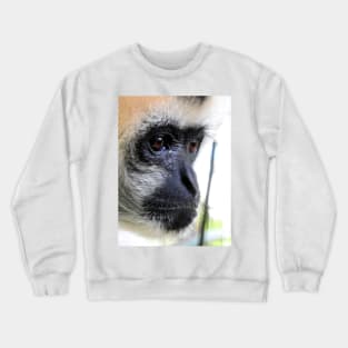 White Cheeked Gibbon Crewneck Sweatshirt